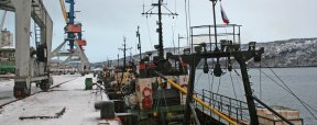 Сразу 11 малых траулеров зашли в Мурманский морской рыбный порт
